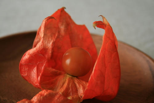 9a9597f5.jpg