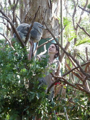 currumbin4.jpg
