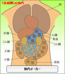 高城剛体内メーカー