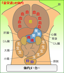 豪栄道体内メーカー