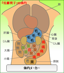 佐藤寛子体内メーカー