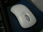 マウス