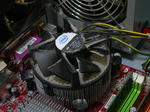 6be3481c.JPG