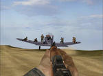 fly2.JPG