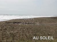 2012050602.jpg