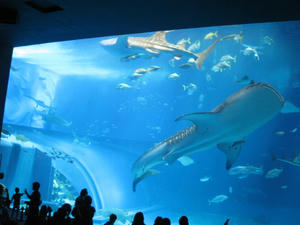 IMG_2917.JPG