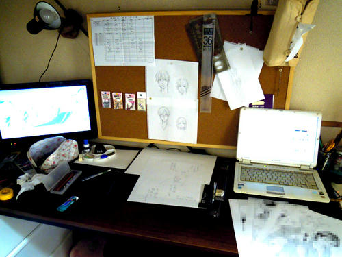 DSCN0800.JPG