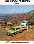 chevrolet_trucks_with_airstreem.jpg