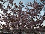 ugata003.jpg