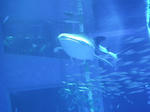 2011summer_trip_011.jpg