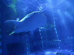 2011summer_trip_012.jpg