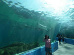 2011summer_trip_013.jpg