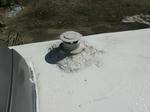 DSCF1445.JPG