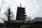 2012tds_006.jpg