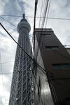 2012tds_008.jpg