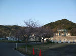 izu002.jpg