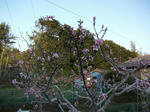 izu003.jpg