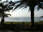 izu006.jpg