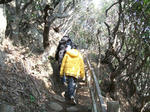 izu013.jpg