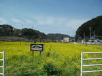 izu020.jpg