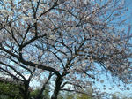 DSCF2430.JPG