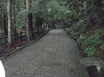 RIMG0016.JPG