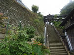 RIMG0024.JPG