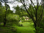 RIMG0045.JPG