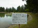 RIMG0059.JPG
