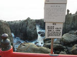 2013ykyuusyuu029.jpg
