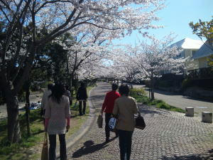 20100408-2.jpg