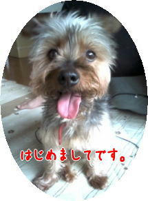 20100817.JPG