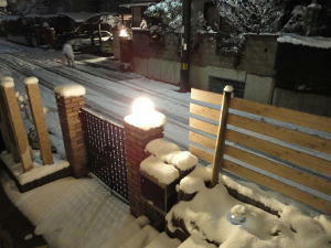 20110214-01.jpg