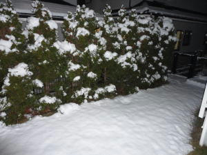 20110214-02.jpg