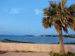 20110228-04.jpg