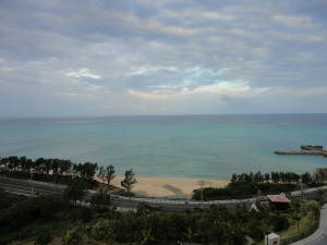 20110309-07.jpg