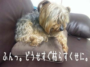 20110428-03.JPG