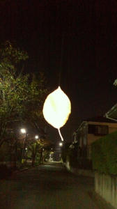 20111113-02.jpg
