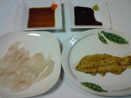 ヒイカ行ってきました 食べ頃フィッシング