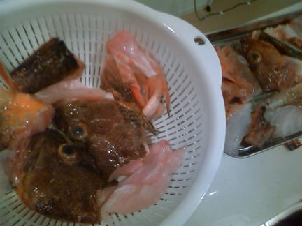 カサゴのしゃぶしゃぶ 食べ頃フィッシング