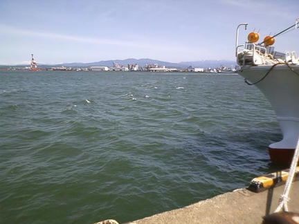 CA3E0311.jpg