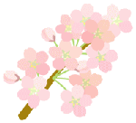 saku2.gif