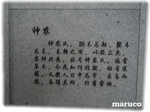 20110319-4.jpg