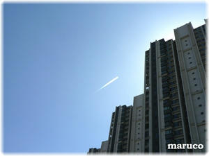 20110325