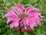2816b38a.JPG