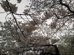 21b01998.jpg
