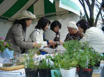 DSC01106-2.jpg