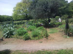 100509-2-2.jpg