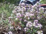 100509-4-2.jpg