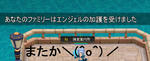 9012056a.jpeg
